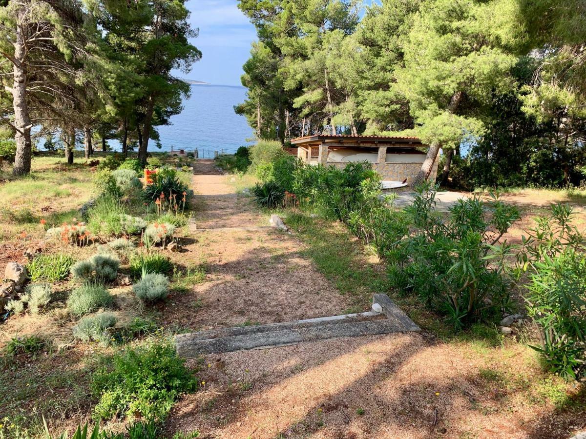 Apartments Nautic Zavala Dış mekan fotoğraf